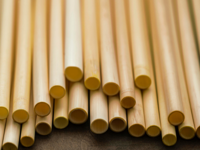 CPVC Pipes